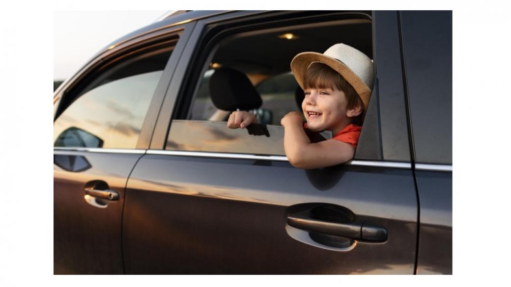 kinderen in de auto