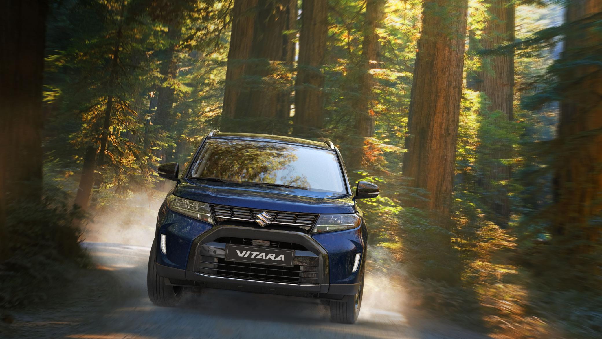 vitara-blauw